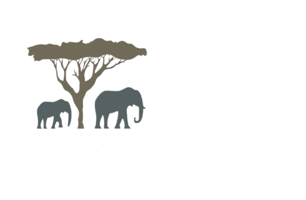 Discover Africa Safaris LLC